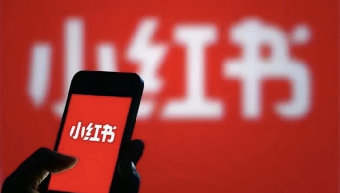 电厂 | 小红书真的有“书”了:开辟网文业务,会是下一个番茄小说?
