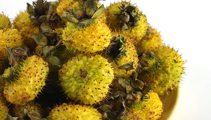 小眾水果刺梨站上風口