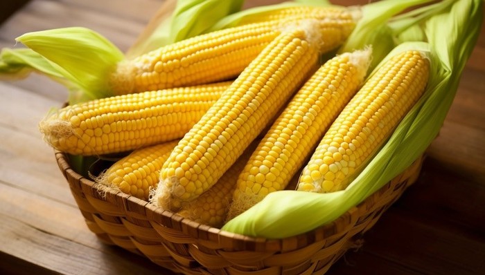 一文读懂十月稻田半年报:营利双增,玉米品类突起