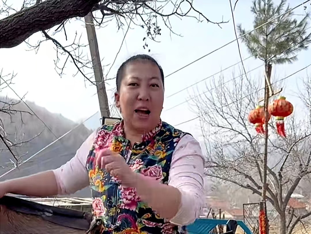 界面人物No.1｜“东北雨姐”，极速坠落|界面新闻 · 中国