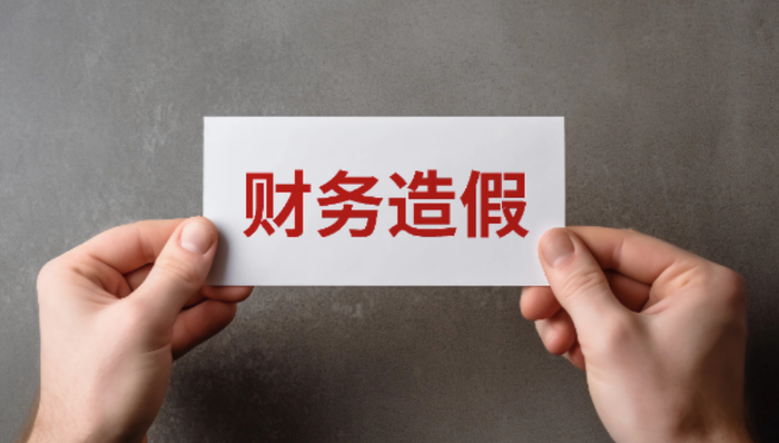 造假,貿(mào)易,股東,占用