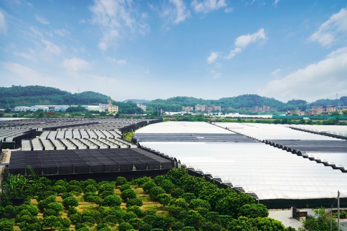 引綠色金融“活水”，澆灌鄉(xiāng)村振興之花 廣州農(nóng)商銀行助力綠色農(nóng)業(yè)高質(zhì)量發(fā)展