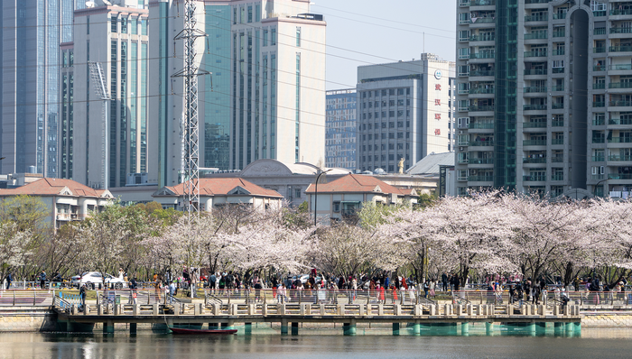 改革,國有企業(yè),