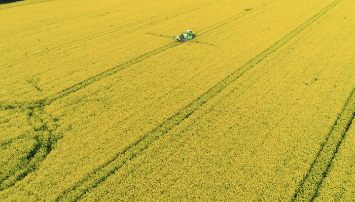 中國對原產于日印的進口鄰二氯苯征收反傾銷稅