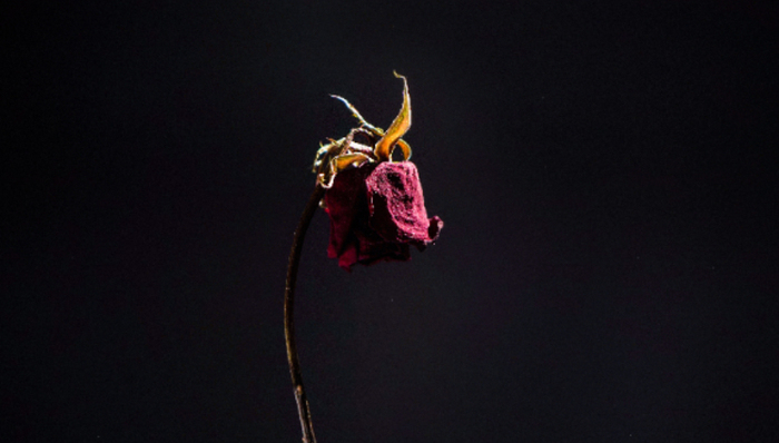 商业价值,流量,直播带货,综艺,