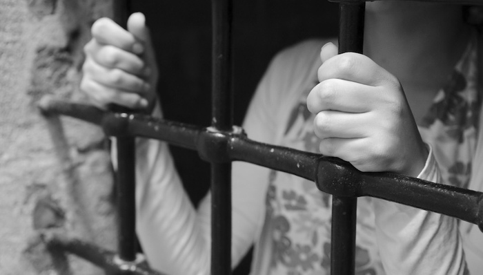 移民,美國(guó)社會(huì),天下故事