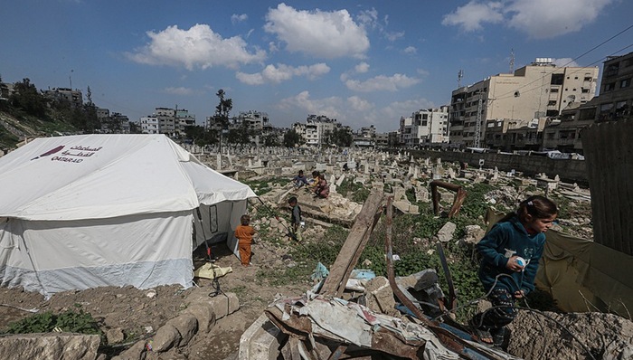 加沙,以色列,埃及,特朗普,搬遷