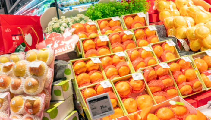 *ST人樂,年報(bào),審計(jì)