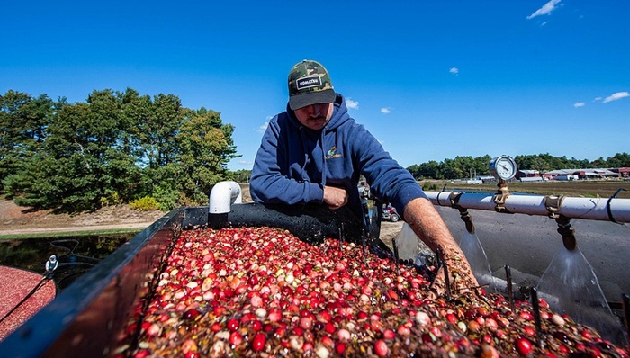 美國,關稅,共和黨,特朗普