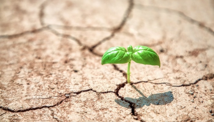 熱點(diǎn)關(guān)注