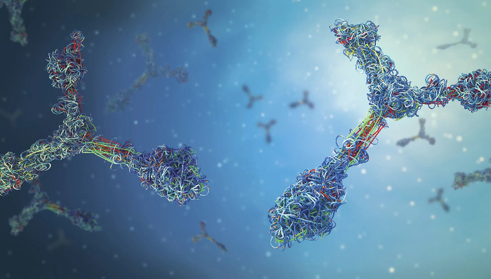 康方生物回應(yīng)明星雙抗數(shù)據(jù)爭(zhēng)議