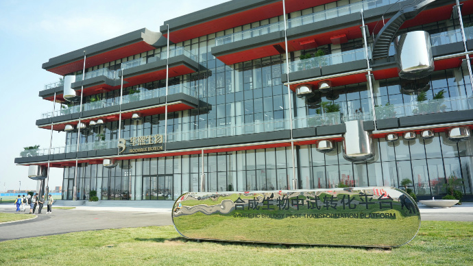 第三届“透明质酸健康日”:细胞外基质列为第13大衰老标志物,透明质酸千亿市场迎来黄金时代