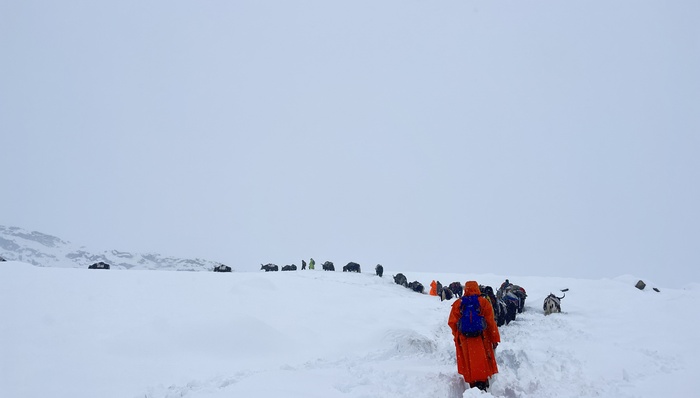 珠峰东坡暴雪千人被困背后:当徒步成为一种时尚
