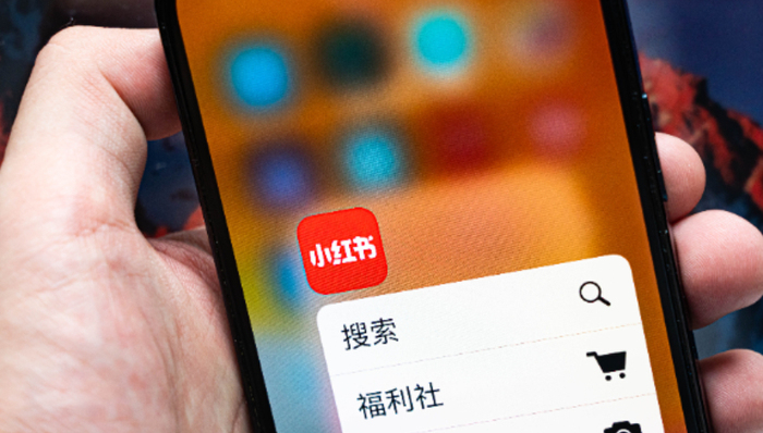 閑置經(jīng)濟,小紅書,閑魚,