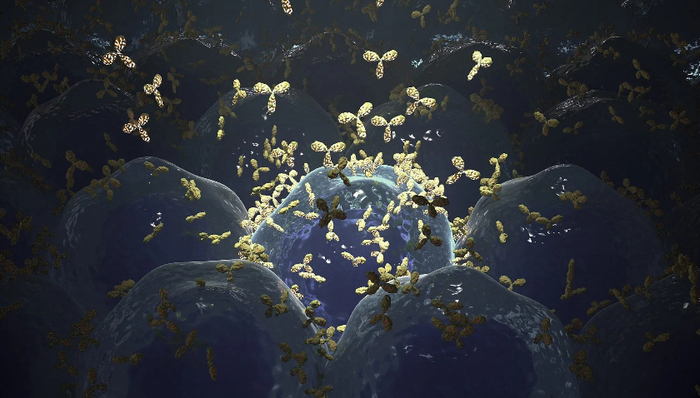 百利天恒获80亿授信,暂缓IPO后继续“输血”国际化