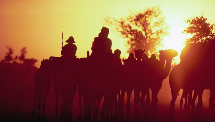 權(quán)力游戲,天下故事