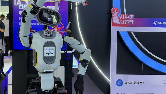 2025人工智能大会逛展指南:机器人“现场打架”,大模型走进现实