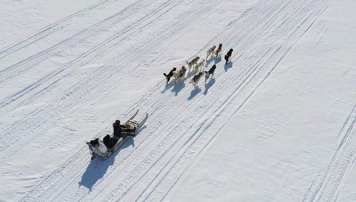格陵蘭島僅靠狗拉雪橇防御？特朗普重申必須拿下