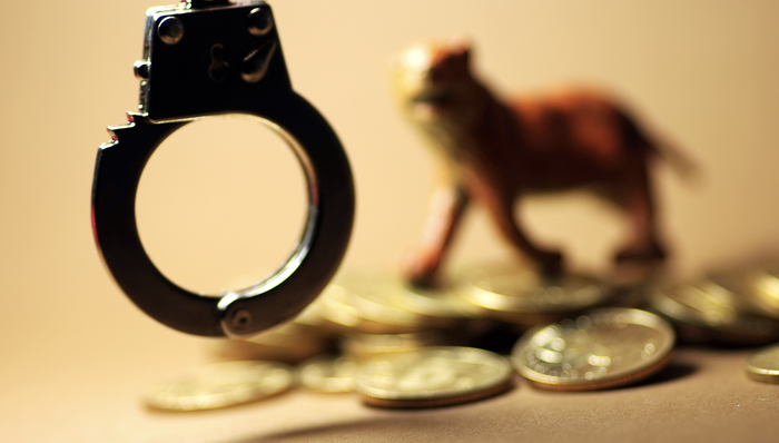 反腐,羅保銘;老鄉(xiāng)圈;政商勾連;腐敗;90年代;50萬元現(xiàn)金