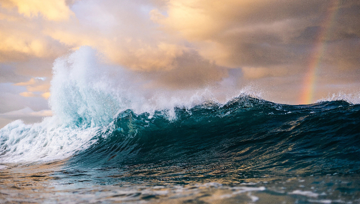 國產(chǎn)明星創(chuàng)新藥;出海