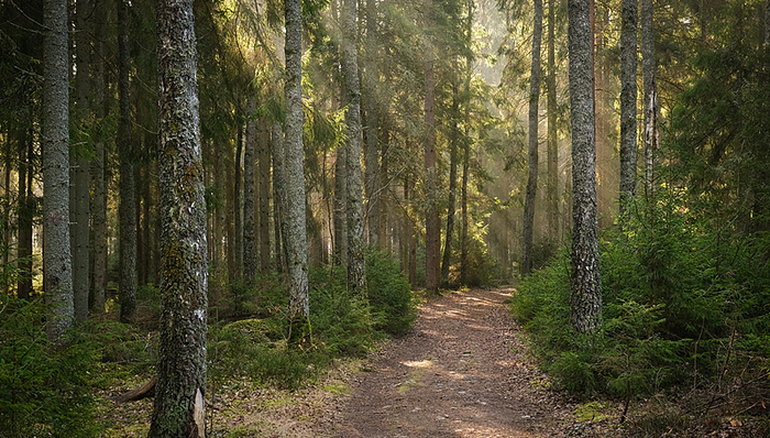 日本警方;中国籍女性死亡事件;他杀可能
