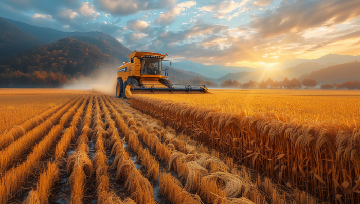 中央一号文件;土地承包到期再延长三十年;延包矛盾纠纷