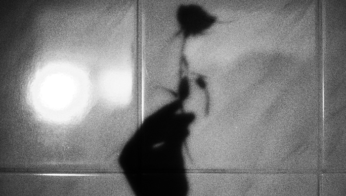 今天我們還相信“愛情神話”嗎？從浪漫喜劇談起｜情人節(jié)