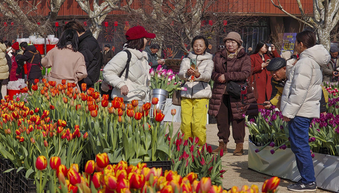 上海;春日首发季;文商旅体展联动;活动日历