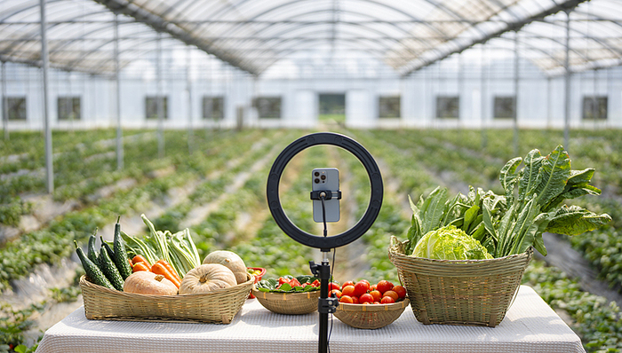 市监总局;直播带货;网售食品;合规提质系列行动