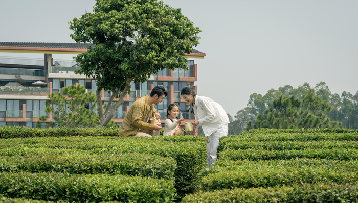 新酒店 | 在惠州茶山之间,体验一种“轻盈探索”的度假方式