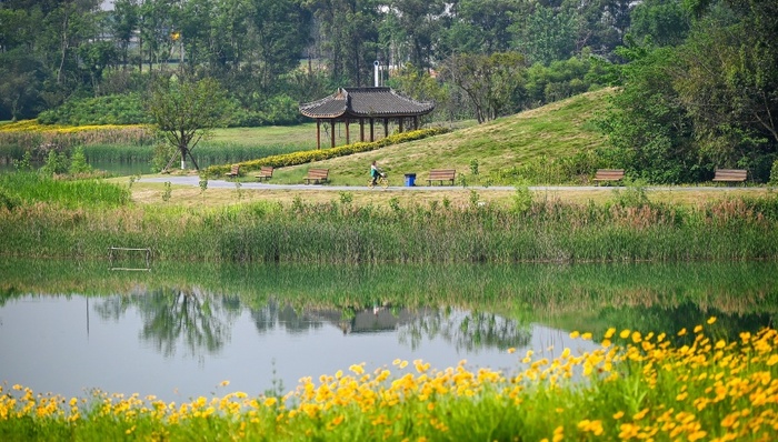 地方新闻精选