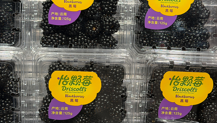 怡颗莓;检出致癌物;国内销售;云南草莓