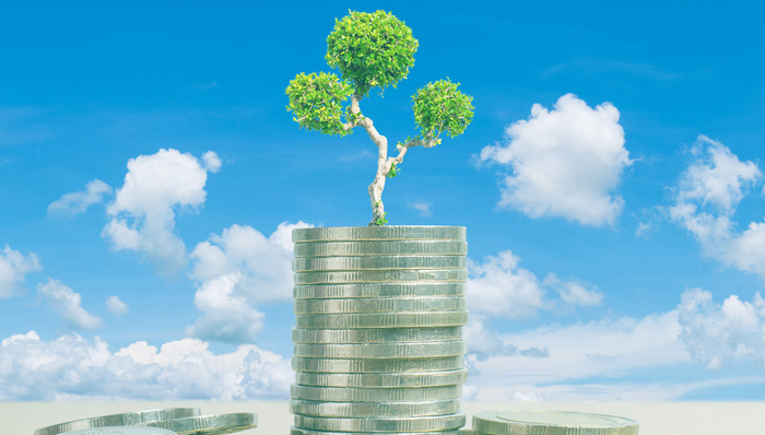 A股,仁智股份,002629.SZ