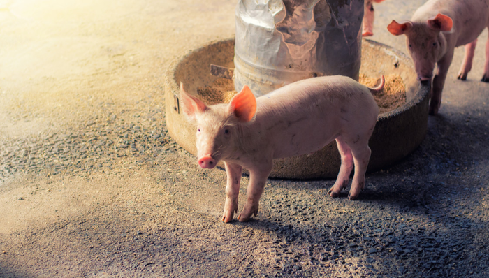 516670,ETF產(chǎn)品日?qǐng)?bào)