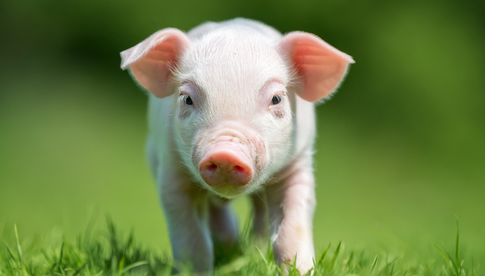 516760,ETF盤中快訊