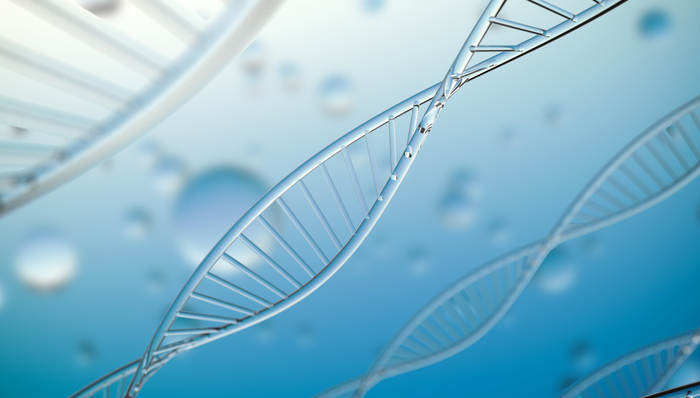 002688.SZ,金河生物,金河生物科技股份有限公司,Jinhe,Biotechnology,农林