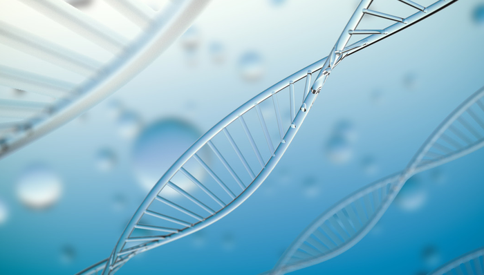 港股创新药ETF,银华国证港股通创新药交易型开放式指数证券投资基金,159567,159567.SZ