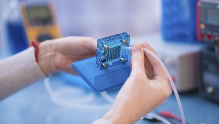 603003.SH,*ST龍宇,上海龍宇數(shù)據(jù)股份有限公司,Lonyer,計算機