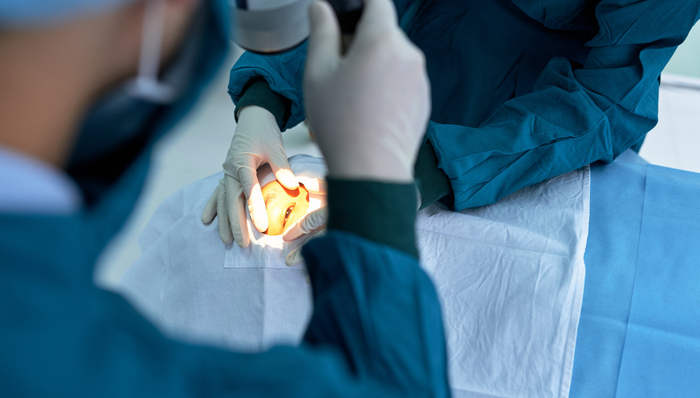 鹏华上证科创板生物医药ETF,KC医药,医药,鹏华上证科创板生物医药交易型开放式指数证券投资基金,5