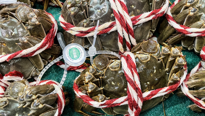 生鮮電商,中國市場,大閘蟹