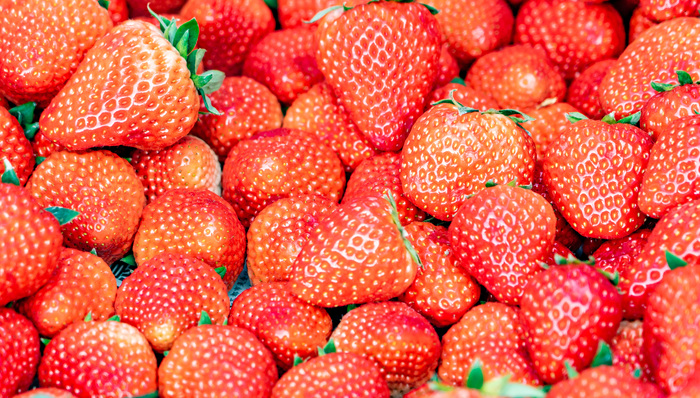 “草莓刺客”也来了?高价草莓下种植户和经销商各有各的不易