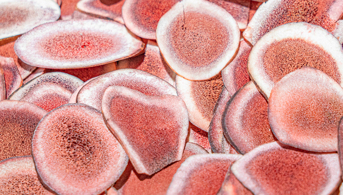 海南椰岛员工侵占公款获刑6年,企业曾因未及时披露该事件受处罚