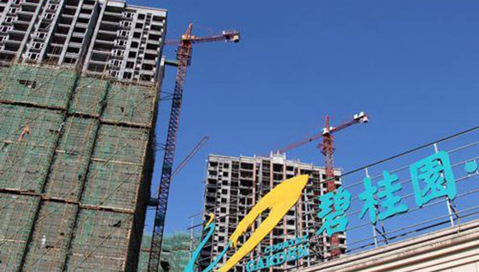 碧桂园的速度与危情