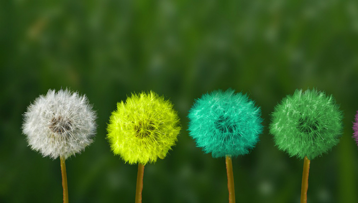 广东全力推进垦造水田 2020年全省将完成30万亩垦造水田任务