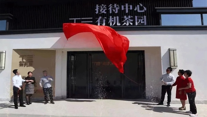 广东英德T三有机茶园景区开门迎客