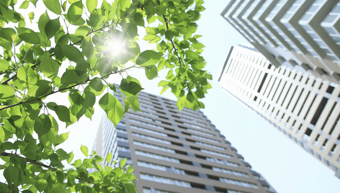 阳光100拟发行2亿美元优先票据 利率11.5%