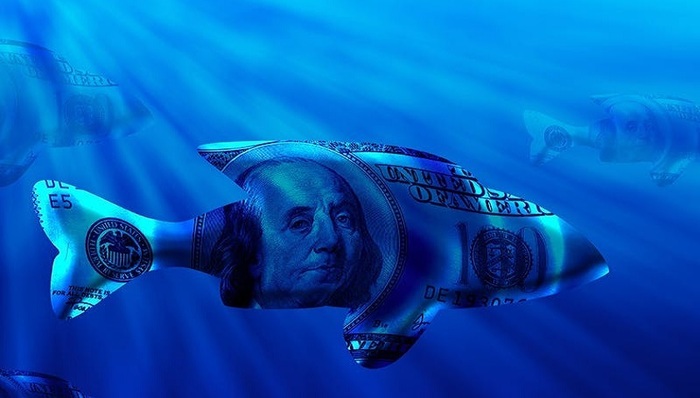 環(huán)保,動(dòng)物保護(hù)