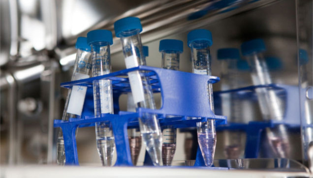 苹果和Facebook女性员工新福利：免费冷冻卵子