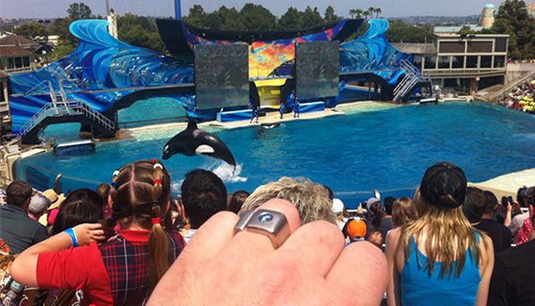 过世了，就安安静静做一颗美丽的钻石吧