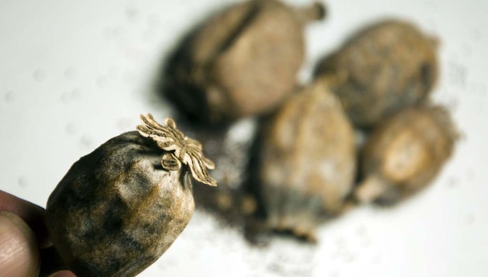 鸦片之战 美国败走阿富汗 76亿美金打了水漂